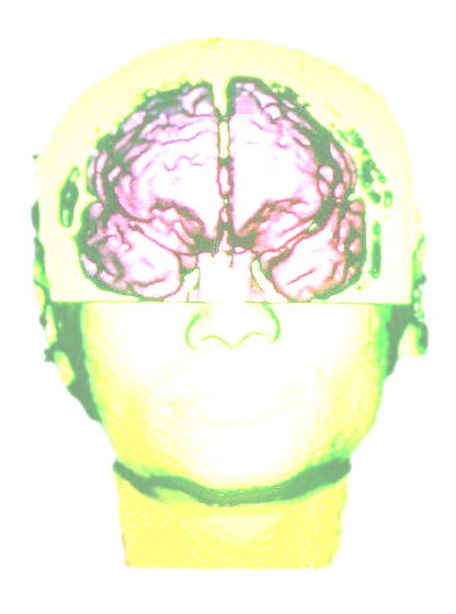 Pituitary gland - Super-Growth 